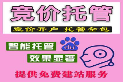 案例解读：SEM推广竞价代运营助力企业提升竞争力